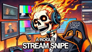 A Rogue Stream Snipe  Mister Metokur [upl. by Geffner]