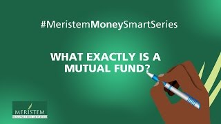 Understanding Mutual Funds [upl. by Ahsitnauq]