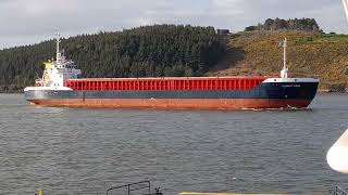 Shipping in Waterford estuary 🇮🇪 [upl. by Hcire]