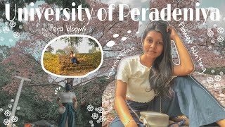 University tour in spring  University of Peradeniya  Sri Lanka  Pera Uni Vlog 2  Campus Life [upl. by Debi891]