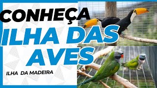 Conheça Ilha das Aves Ilha da Madeira [upl. by Atnomed344]