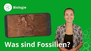 Fossilien Das musst du wissen – Biologie  Duden Learnattack [upl. by Otirecul]