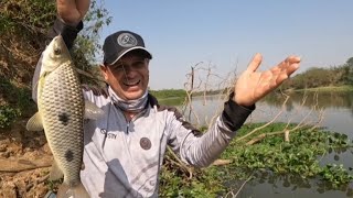 PESCARIA RIO MOGI GUAÇU GUATAPARA DE PIAUS A VARINHA BEBEU ÁGUA BONITO 🎣🎣🎣 [upl. by Foushee]