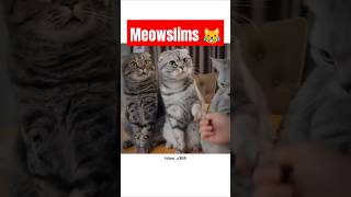 Halal Handshake with Meowslims 😹 islamicvideo islamicshorts [upl. by Biddle]