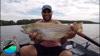 How to troll for BIG New York brown trout [upl. by Enneibaf]