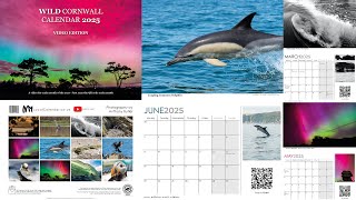 Wild Cornwall Calendar 2025 Video Edition  Teaser 01 [upl. by Accebor]