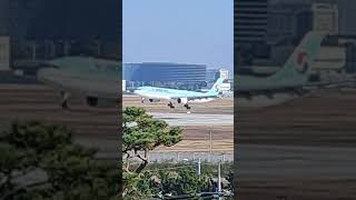 Korean Air AirBus A330300 landing [upl. by Dahcir887]