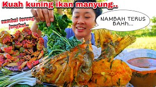 NAMBAH TERUS ‼️MASAK KUAH KUNING IKAN MANYUNG  SAMBAL TERONG JENGKOL MANTUL🤤 [upl. by Aneeuqahs810]