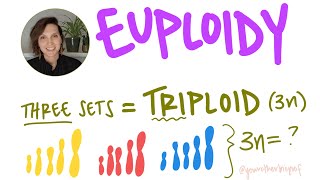 What is euploidy What is haploid diploid triploid n 2n 3n College Biology AP Biology [upl. by Nanah765]