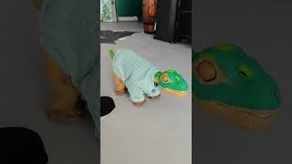 Pleo Ugobe the cutest robot in the world pleo robot toys kidrobot kids short robotictoys fun [upl. by Noyerb]