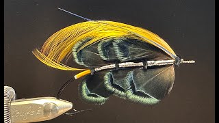 Live classic salmon fly tying tying Trahernes Black Prince part 2 [upl. by Adnovaj]