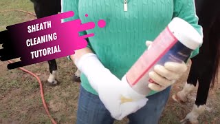 Sheath Cleaning Tutorial for Horses [upl. by Darrell439]