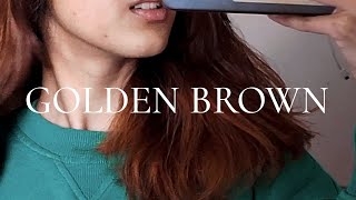 I dyed my hair golden brown again  Garnier golden brown 73 [upl. by Dyan316]