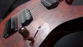 Ibanez RG7421PB 7 String Playthrough  Lee Wrathe [upl. by Joellyn]