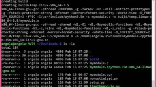 Cython vs Pure Python [upl. by Ecirtaemed]