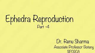 Ephedra Reproduction Part  4  Dr Renu Sharma [upl. by Garwood]