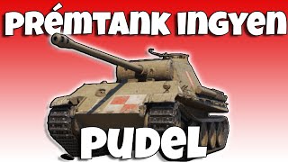 TWITCH DROP TANK PUDEL [upl. by Aneeb964]