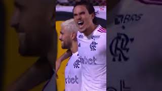 Brasileirão  Vitória 0x1 Flamengo  De Arrascaeta gols flatv flamengo [upl. by Noid]