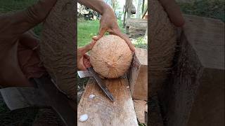 Slowmotion  how to remove coconut from Shell [upl. by Nosac123]