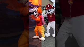 Exciting Paw Patrol Rescue Song Show And Animation [upl. by Simson]