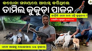 🐓ଓଡ଼ିଶାରେ ତାମିଲ କୁକୁଡ଼ା ପାଳନ 🐓 Tamil black skin hen farming in odisha  kukudachasa [upl. by Mohun]