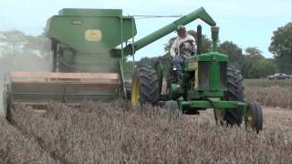 BEAN HARVEST with Antique Combines JD amp Oliver tubalcain [upl. by Pieter]