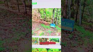 Land With Access to River Community Power amp Internet Only 749 Down ashecounty realestate [upl. by Nylirac325]