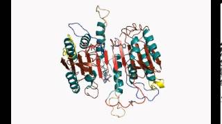 Procaspase3 conformational change [upl. by Woo]