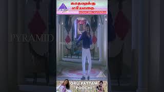 Oru Pattam Poochi Video Song  Kadhalukku Mariyadhai Movie Songs  Vijay  Shalini  ytshorts [upl. by Weinshienk]