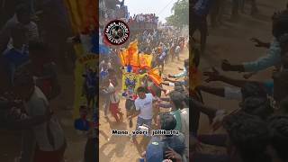 కోనింగ పల్లి జల్లికట్టులో TDP ఎద్దులు💛jallikattu viralvideo trending bull festival [upl. by Eelrebma]