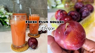 THIS IS A BETTER WAY TO INDULGE PLUM HOW TO MAKE PLUM JUICEPLUM SQUASHviralvideos juice [upl. by Ewen]