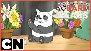 We Bare Bears  Pet Shop Clip 3 [upl. by Imas868]