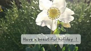 Have a beautiful holiday [upl. by Eecart]