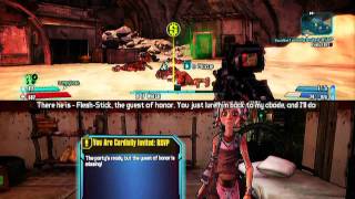 Borderlands 2  How to Level up Fast [upl. by Normand]