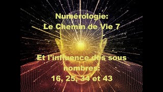 Numérologie Le Chemin de Vie 7 [upl. by Viridissa895]