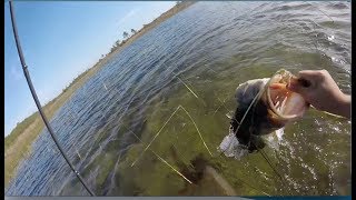 The Biggest Bass of My Life  Fishing Catfish Creek Preserve [upl. by Eibrad164]