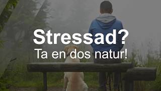 Stressad Ta en dos natur  Naturvårdsverket [upl. by Eimarrej835]