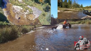 Honda trike CanAm quad followed through Forest by drone with my father and son [upl. by Craddock]