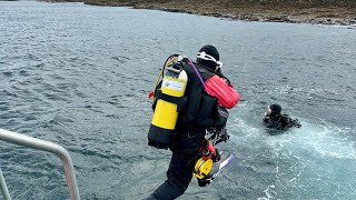 Farne Islands seal diving sea ocean farneislands ukdiving uk wildlife scubadiving bsac [upl. by Orlosky]