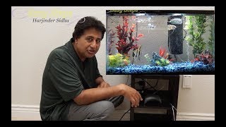 Easy Steps To Create Your Own Mini Underwater Oasis With An LED Aquarium Starter Kit [upl. by Quintus64]