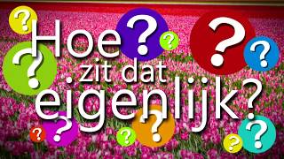 Hoe zit dat eigenlijk 4 Hoe worden nieuwe tulpen uitgevonden [upl. by Ddal102]