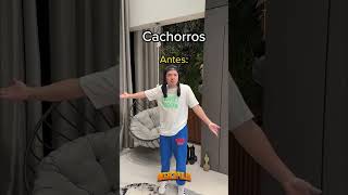 MORIMURA e os cachorros 🤣 fyp begazopolis viral shorts memes humor [upl. by Henriha]