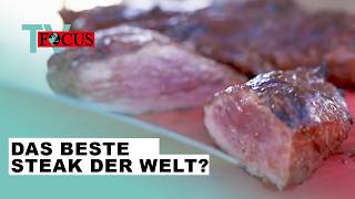 Wer grillt das beste Steak der Welt Die GrillWM in Stuttgart  Focus TV Reportage [upl. by Astrid160]