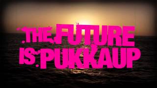 Pukka Up Ibiza 2013  Official Teaser  Ibizas No 1 Sunset Boat Party [upl. by Qahsi171]