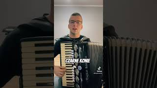 Czarne konie youtubeshorts cover music reels accordion folk ytshorts akordeon folkmusic [upl. by Mira]