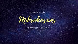 BTS Mikrokosmos 소우주 Deutsch Ger Sub [upl. by Ahsiemaj585]