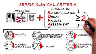 Sepsis and Septic Shock  2016 Consensus Definitions [upl. by Faythe]