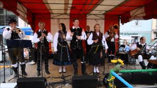 Die Hauskapelle Avsenik beim Stadtfest in Feldkirchen [upl. by Seidler]