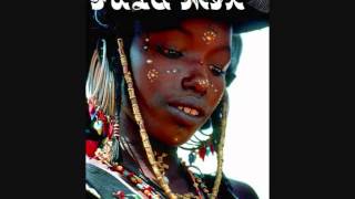 Fula Fulani Fulbe Pël Peul Fulaw music mix by DJ Ras Sjamaan [upl. by Erme997]