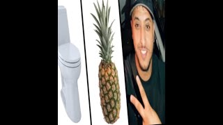 Toilet Ananas Nasdas Tiktok Meme Compilation [upl. by Dewitt]